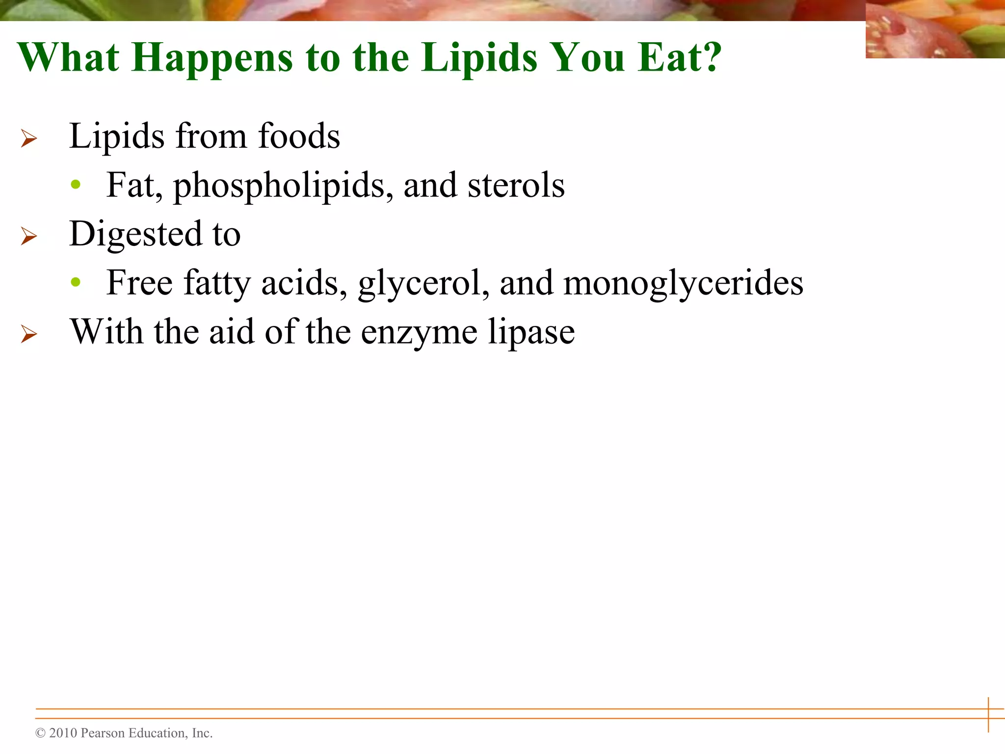 © 2010 Pearson Education, Inc.
What Happens to the Lipids You Eat?
 Lipids from foods
• Fat, phospholipids, and sterols
 Digested to
• Free fatty acids, glycerol, and monoglycerides
 With the aid of the enzyme lipase
 