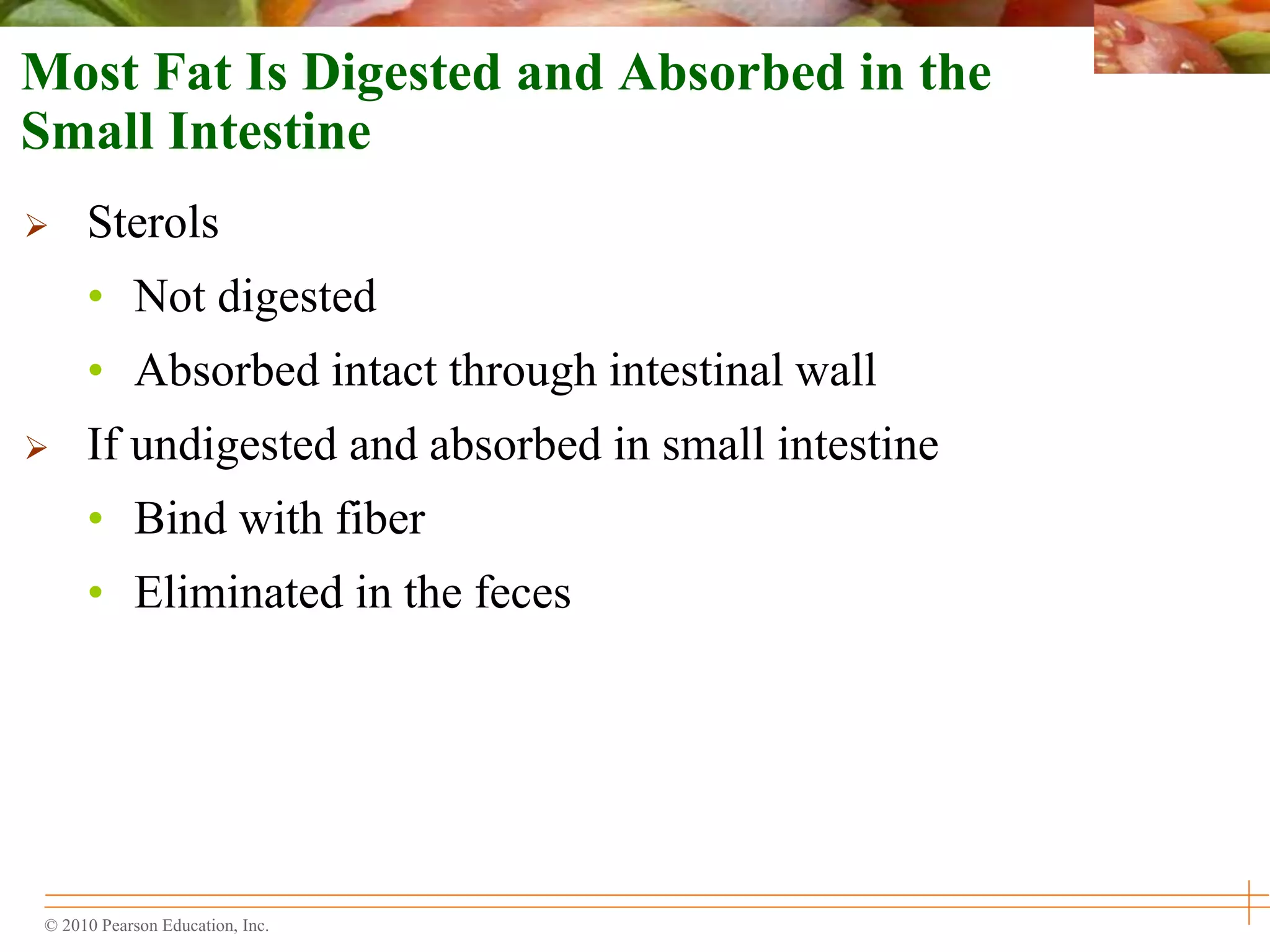 © 2010 Pearson Education, Inc.
Most Fat Is Digested and Absorbed in the
Small Intestine
 Sterols
• Not digested
• Absorbed intact through intestinal wall
 If undigested and absorbed in small intestine
• Bind with fiber
• Eliminated in the feces
 