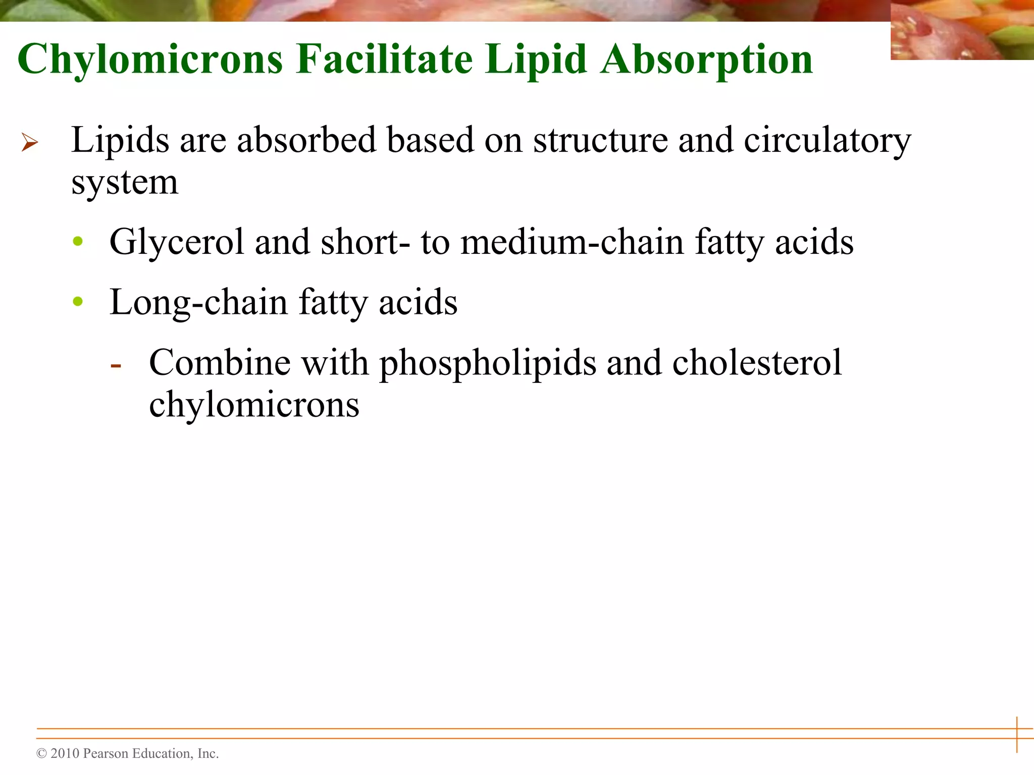 © 2010 Pearson Education, Inc.
Chylomicrons Facilitate Lipid Absorption
 Lipids are absorbed based on structure and circulatory
system
• Glycerol and short- to medium-chain fatty acids
• Long-chain fatty acids
- Combine with phospholipids and cholesterol
chylomicrons
 