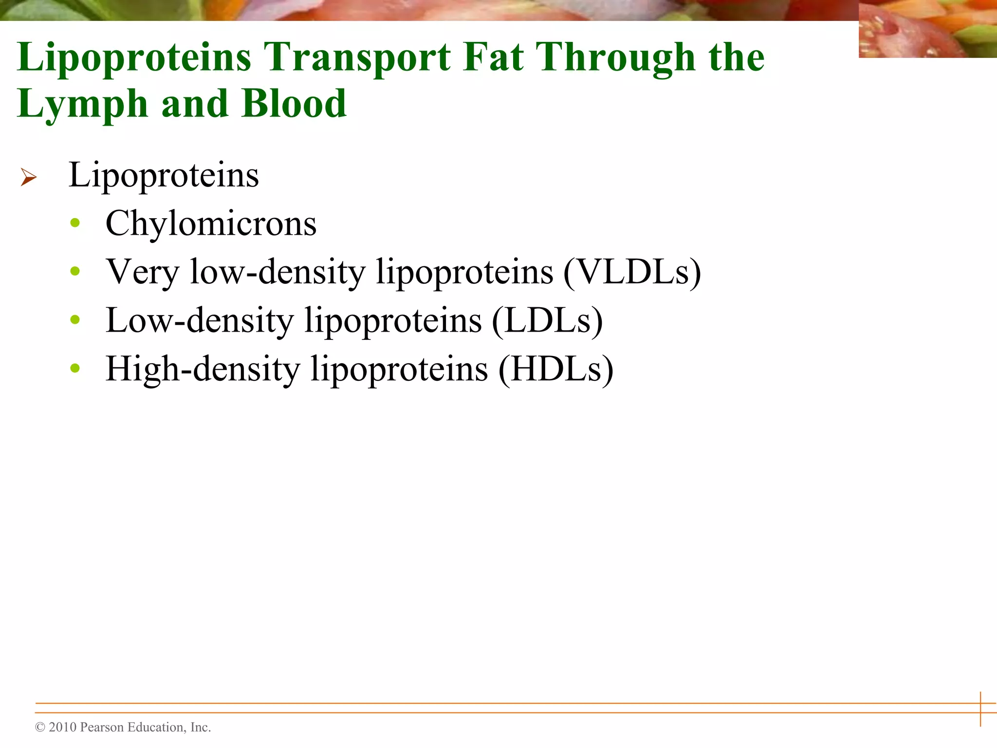 © 2010 Pearson Education, Inc.
Lipoproteins Transport Fat Through the
Lymph and Blood
 Lipoproteins
• Chylomicrons
• Very low-density lipoproteins (VLDLs)
• Low-density lipoproteins (LDLs)
• High-density lipoproteins (HDLs)
 