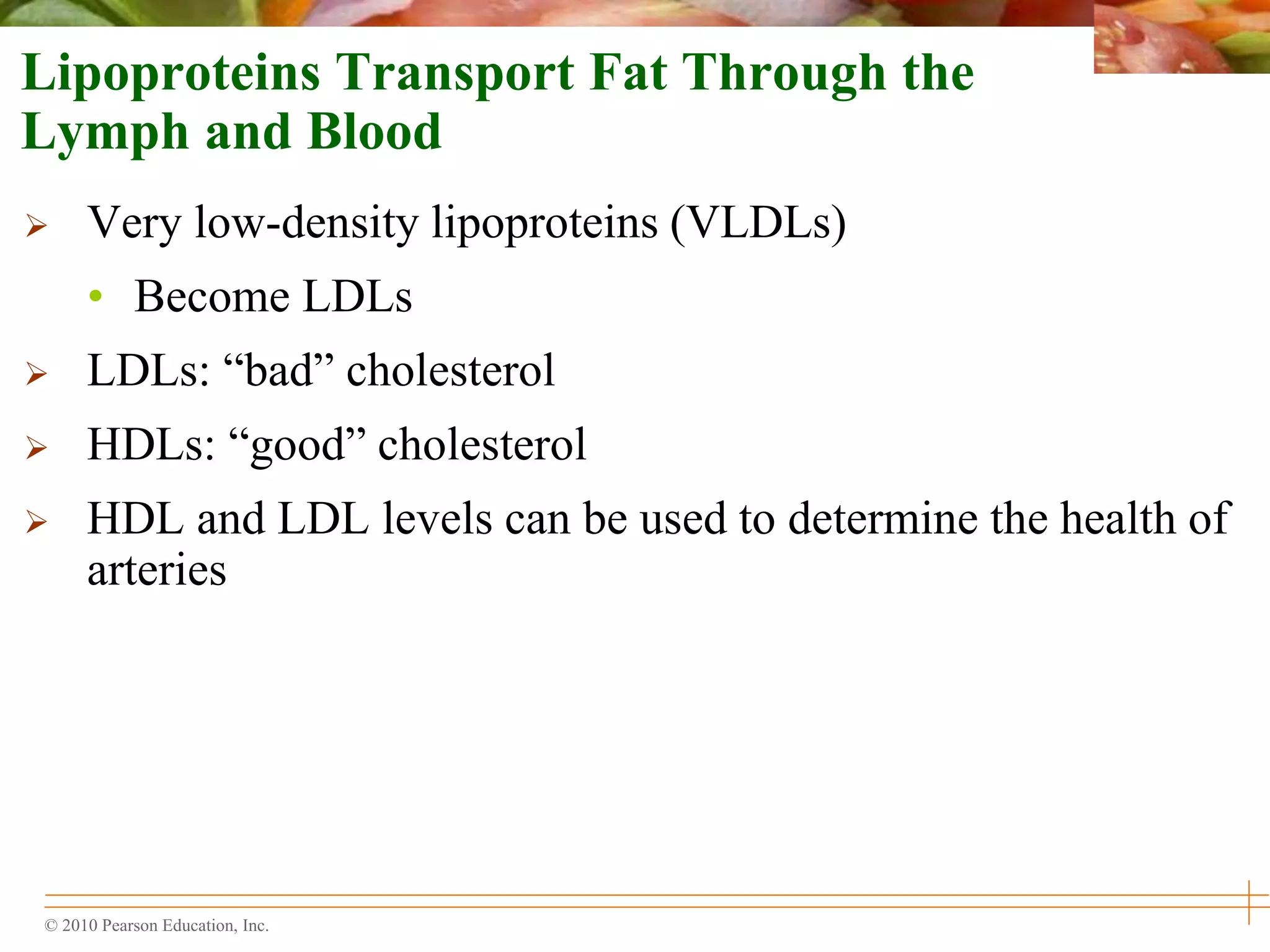 © 2010 Pearson Education, Inc.
Lipoproteins Transport Fat Through the
Lymph and Blood
 Very low-density lipoproteins (VLDLs)
• Become LDLs
 LDLs: “bad” cholesterol
 HDLs: “good” cholesterol
 HDL and LDL levels can be used to determine the health of
arteries
 