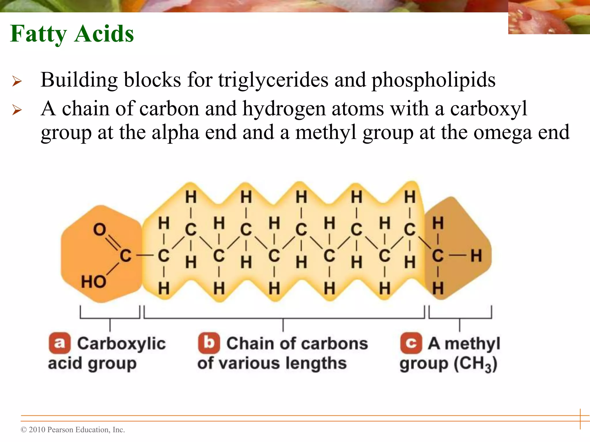 © 2010 Pearson Education, Inc.
Fatty Acids
 Building blocks for triglycerides and phospholipids
 A chain of carbon and hydrogen atoms with a carboxyl
group at the alpha end and a methyl group at the omega end
 