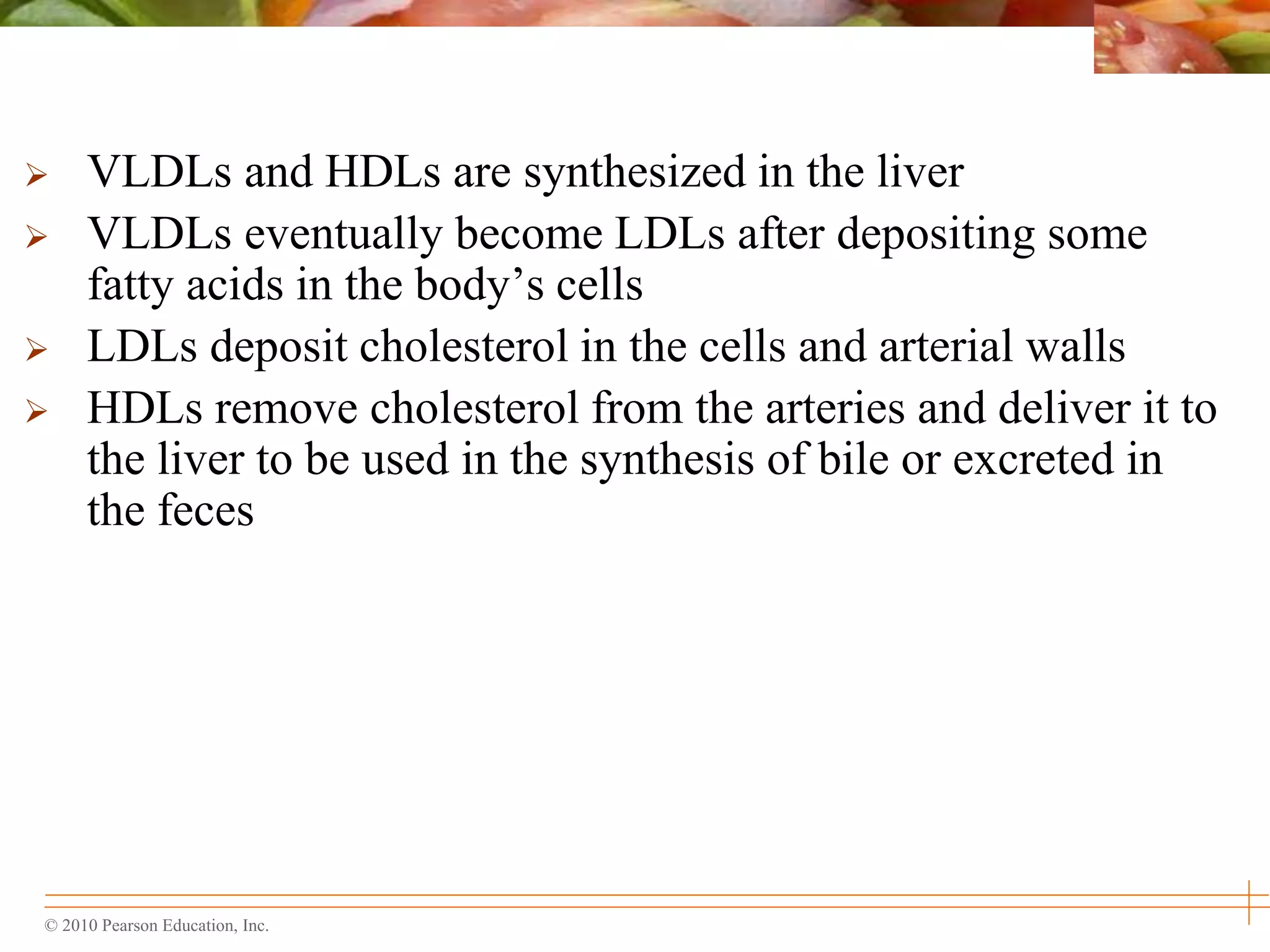 © 2010 Pearson Education, Inc.
 VLDLs and HDLs are synthesized in the liver
 VLDLs eventually become LDLs after depositing some
fatty acids in the body’s cells
 LDLs deposit cholesterol in the cells and arterial walls
 HDLs remove cholesterol from the arteries and deliver it to
the liver to be used in the synthesis of bile or excreted in
the feces
 