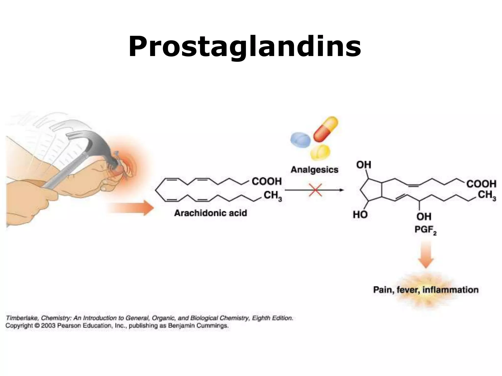 Prostaglandins 
 