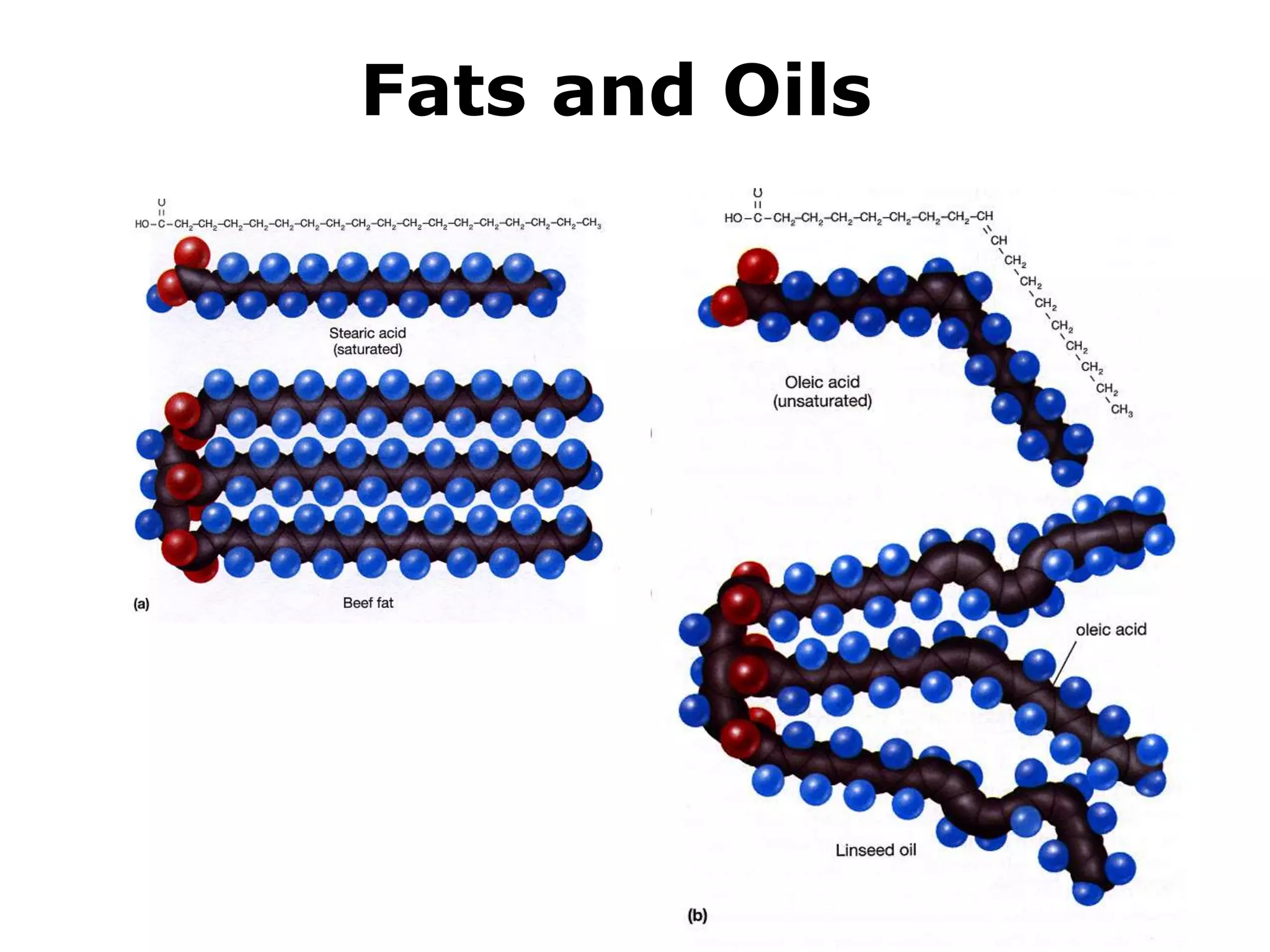 Fats and Oils 
 