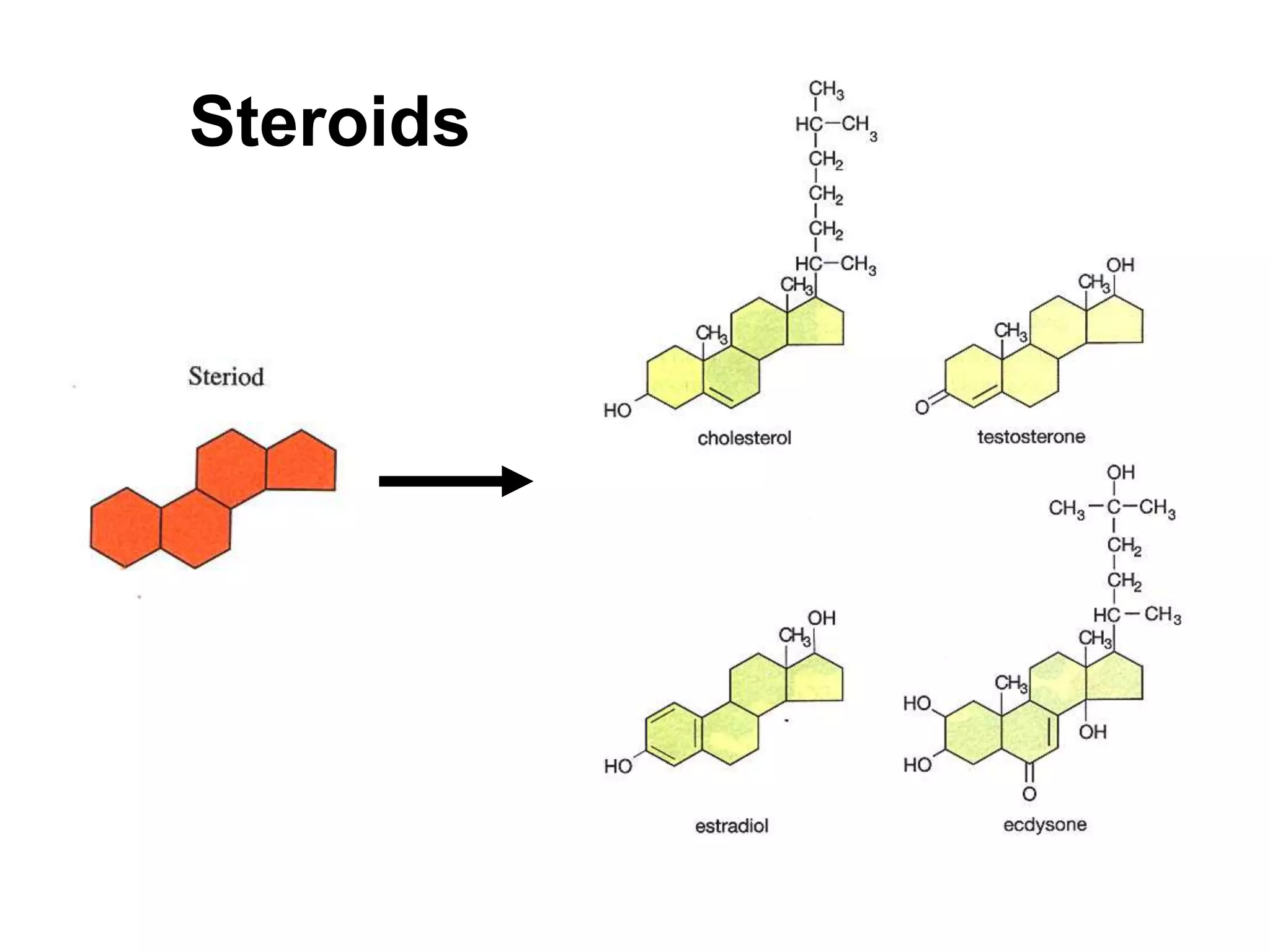 Steroids 
 