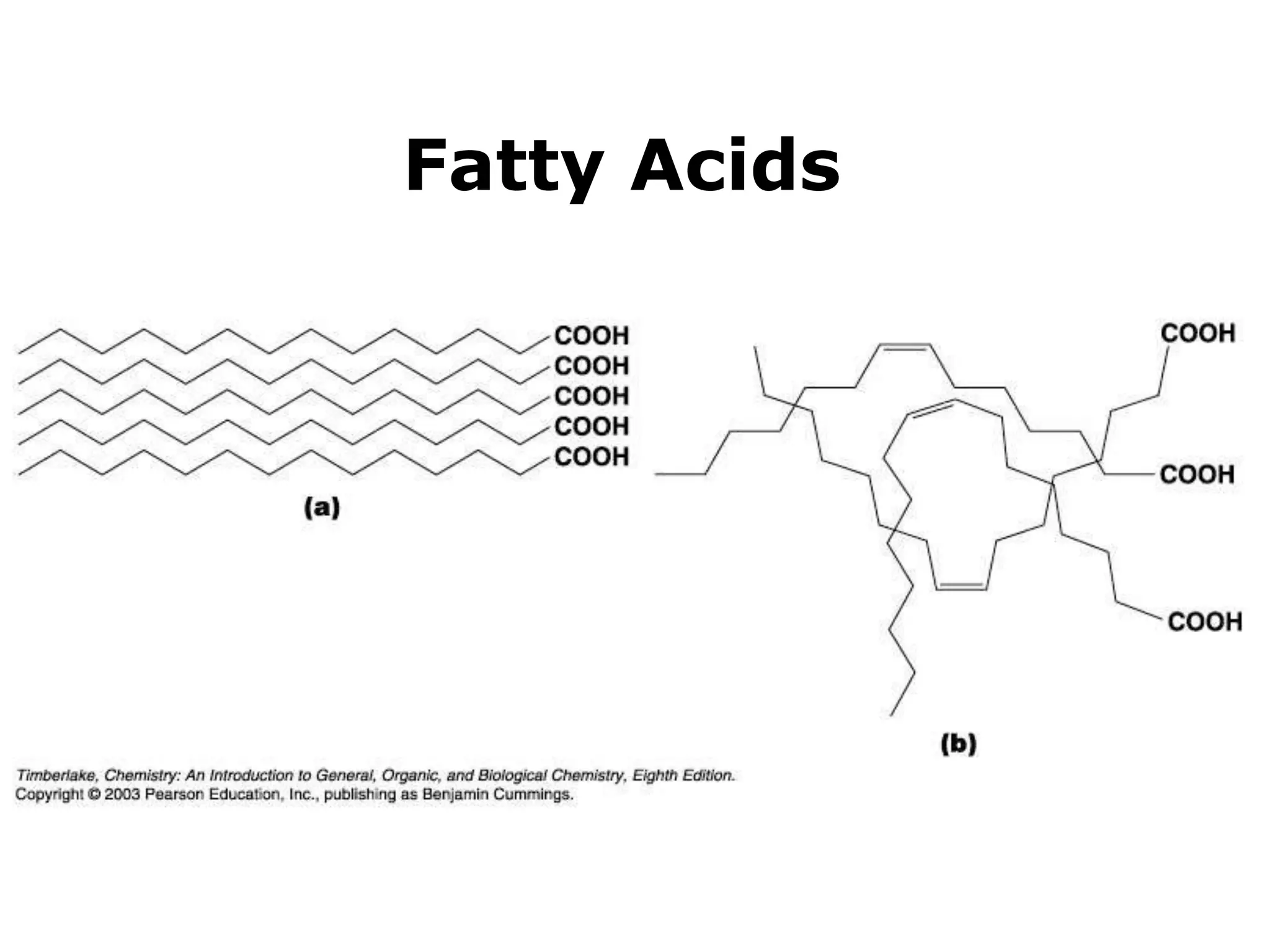 Fatty Acids 
 