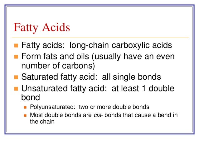 function of fatty acids