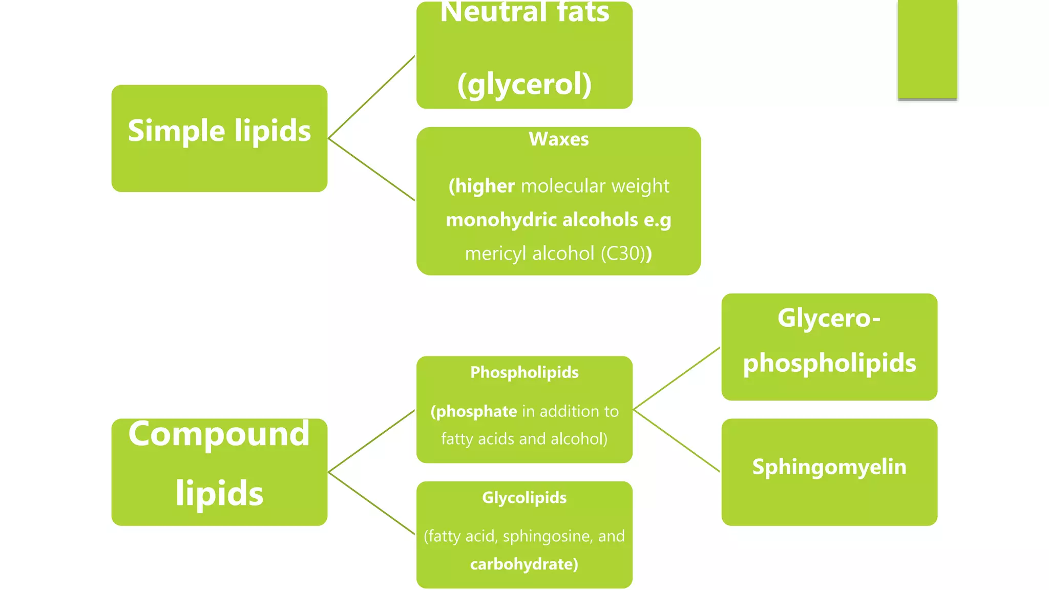 Lipids of biological importance 2019 | PPTX