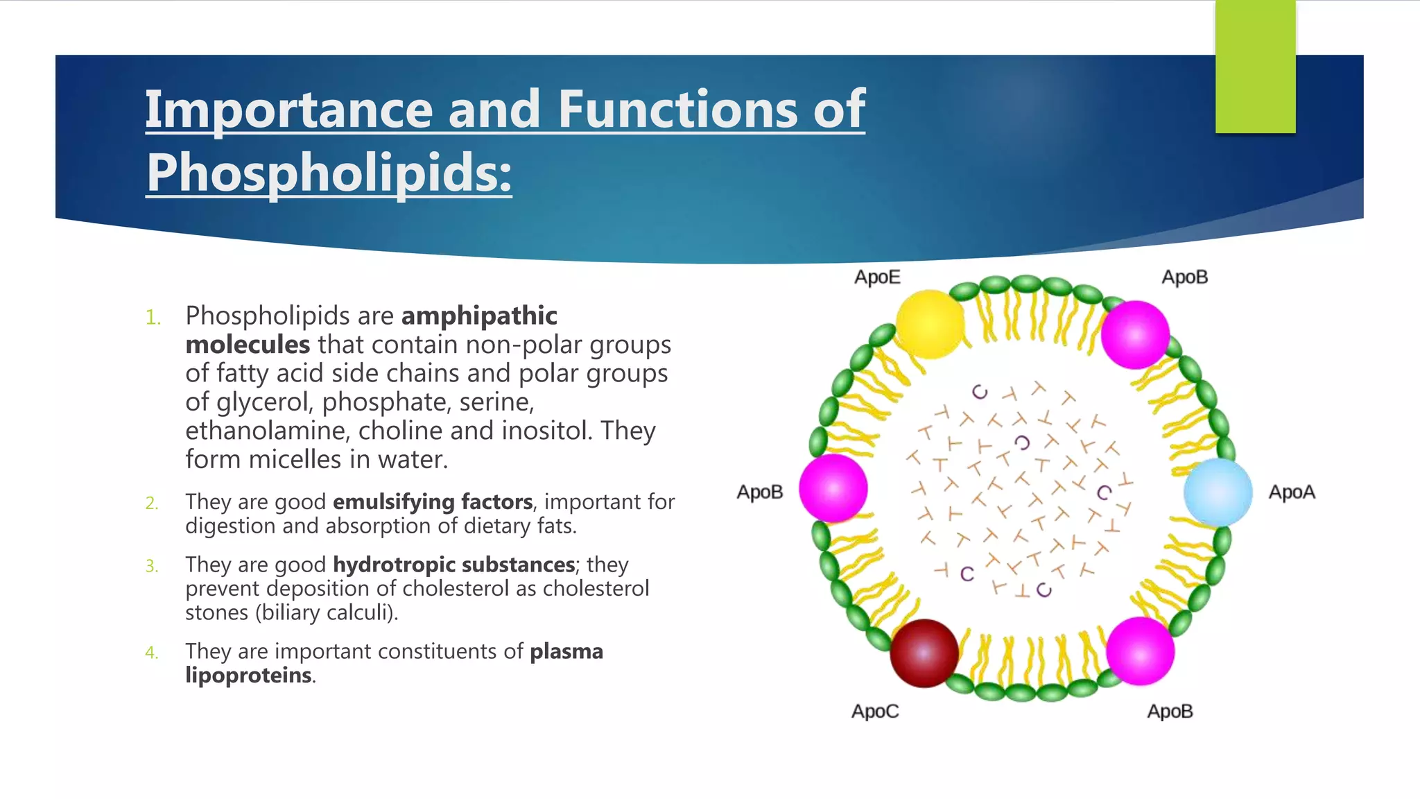 Lipids of biological importance 2019 | PPTX
