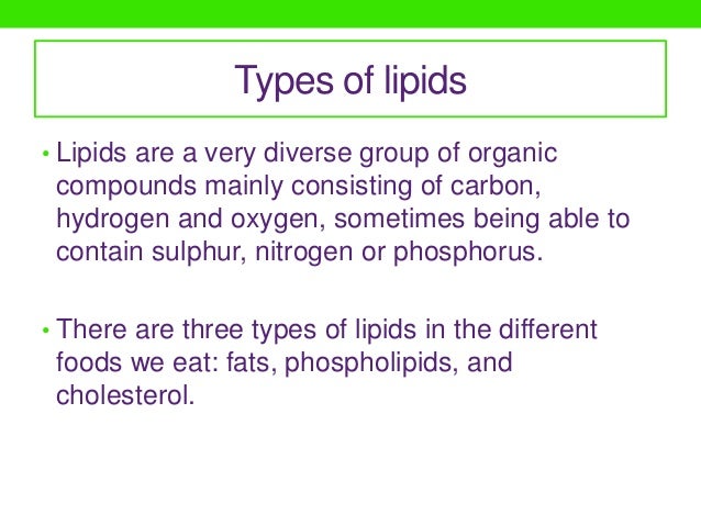 What Foods Contain Phospholipids What Foods Contain Phospholipids