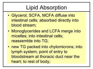 Lipid Absorption
• Glycerol, SCFA, MCFA diffuse into
intestinal cells; absorbed directly into
blood stream;
• Monoglycerides and LCFA merge into
micelles; into intestinal cells;
reassemble into TG;
• new TG packed into chylomicrons; into
lymph system; point of entry to
bloodstream at thoracic duct near the
heart; to rest of body;
 