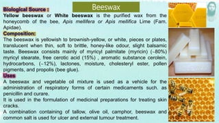 Yellow beeswax or White beeswax is the purified wax from the
honeycomb of the bee, Apis mellifera or Apis mellifica Lime (Fam.
Apidae).
The beeswax is yellowish to brownish-yellow, or white, pieces or plates,
translucent when thin, soft to brittle, honey-like odour, slight balsamic
taste. Beeswax consists mainly of myricyl palmitate (myricin) (∼80%)
myricyl stearate, free cerotic acid (15%) , aromatic substance cerolein,
hydrocarbons, (∼12%), lactones, moisture, cholesteryl ester, pollen
pigments, and propolis (bee glue).
A beeswax and vegetable oil mixture is used as a vehicle for the
administration of respiratory forms of certain medicaments such. as
penicillin and curare.
It is used in the formulation of medicinal preparations for treating skin
cracks.
A combination containing of tallow, olive oil, camphor, beeswax and
common salt is used for ulcer and external tumour treatment.
Beeswax
 