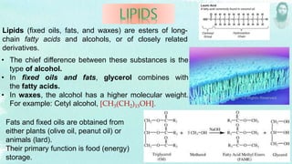 Lipids (fixed oils, fats, and waxes) are esters of long-
chain fatty acids and alcohols, or of closely related
derivatives.
• The chief difference between these substances is the
type of alcohol.
• In fixed oils and fats, glycerol combines with
the fatty acids.
• In waxes, the alcohol has a higher molecular weight.
For example: Cetyl alcohol, [CH3(CH2)15OH].
Fats and fixed oils are obtained from
either plants (olive oil, peanut oil) or
animals (lard).
Their primary function is food (energy)
storage.
 