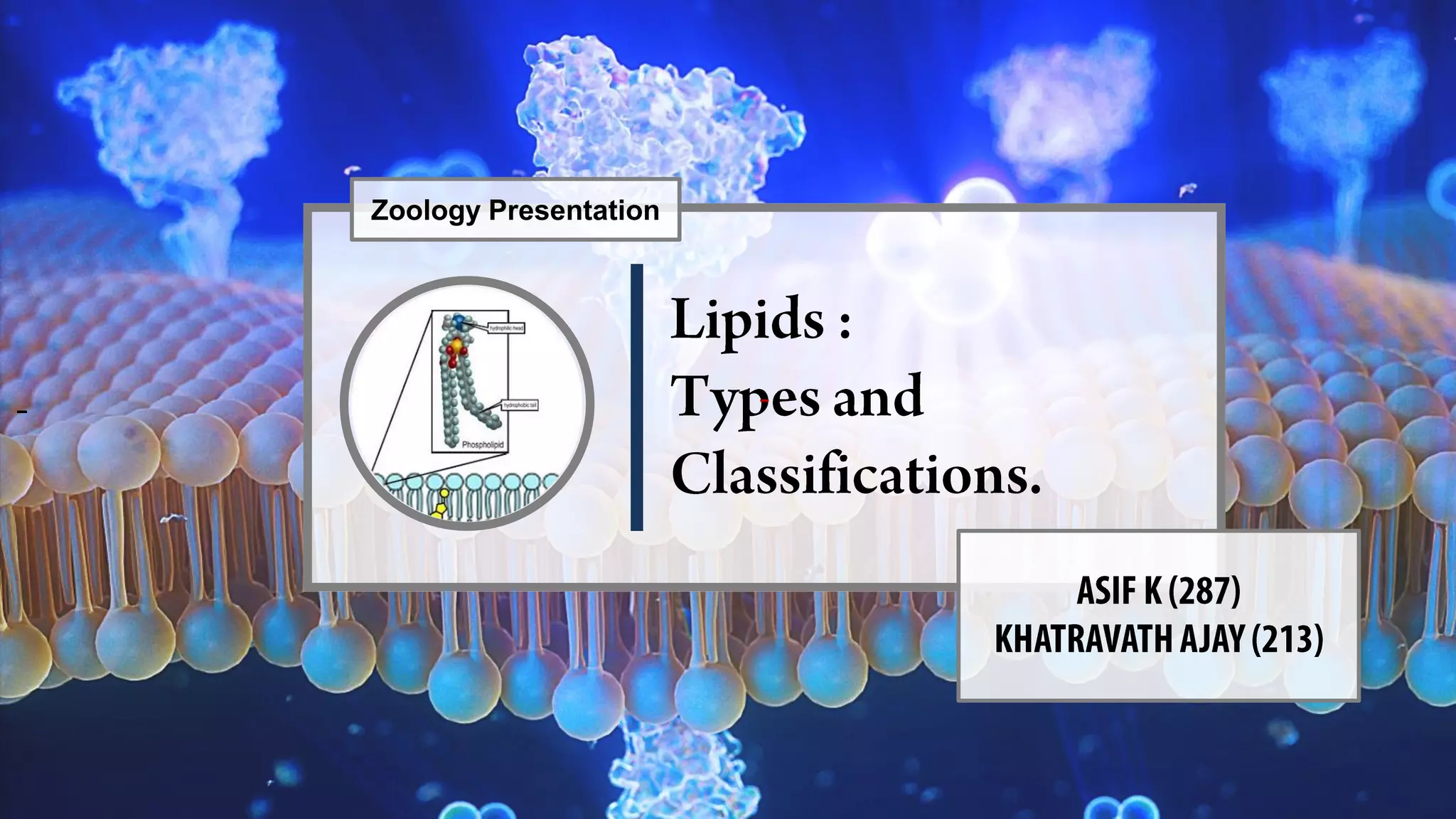 - -
Zoology Presentation
 