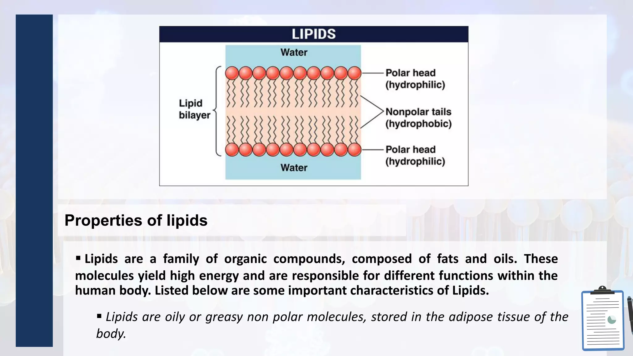 Properties of lipids
 Lipids are a family of organic compounds, composed of fats and oils. These
molecules yield high energy and are responsible for different functions within the
human body. Listed below are some important characteristics of Lipids.
 Lipids are oily or greasy non polar molecules, stored in the adipose tissue of the
body.
 
