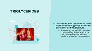 These are the three fatty acids are joined
to one molecule of glycerol, the fats and
oil of it are called TRIGLYCERIDES.
TRIGLYCERIDES
➔ Animals are composed high proportions
of saturated fatty acids in which all the
carbon atoms of the fatty acids are
bonded to at least two hydrogen atoms.
 