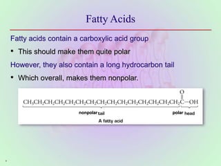 4
Fatty Acids
Fatty acids contain a carboxylic acid group
• This should make them quite polar
However, they also contain a...