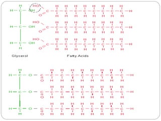 Lipid Structure and Function Biochemistry | PDF