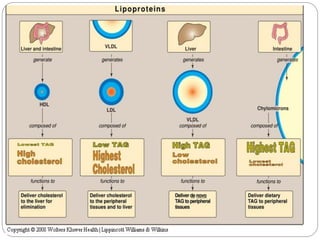 Lipid Structure and Function Biochemistry | PDF