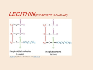 LECITHIN(PHOSPHATIDYLCHOLINE)
This Photo by Unknown Author is licensed under CC BY-SA-NC
 