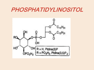 PHOSPHATIDYLINOSITOL
 