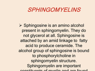 SPHINGOMYELINS
 Sphingosine is an amino alcohol
present in sphingomyelin. They do
not glycerol at all. Sphingosine is
attached by an amid linkage to fatty
acid to produce ceramide. The
alcohol group of sphingosine is bound
to phosphorylcholine in
sphingomyelin structure.
Sphingomyelin are important
 