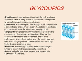 GLYCOLIPIDS
Glycolipids are important constituents of the cell membrane
and nervous tissue.They occurs as cell surface carbohydrate
to from glycocalyx in plasma membranes.
Cerebrosides are the simplest form of glycolipidsThey contain
a ceramide and one and more sugars. Galactocerebroside and
glucocerebroside are the most important glycolipids.
Gangliosides are predominantly found in ganglions are the
most complex from of glycosphingolipids.They are the
derivatives of cerebrosides and contain one or more
molecules of N-acetylneuraminic acid , the most important
sialic acid.The gangliosides , GM2That accumulate inTay-
Sachs disease is represent next.
Globosides a type of glycolipid with two or more sugars
Linked to ceramide the sugars usually present are
Glucose and galactose. Lactosylceramide is present in
Erythrocyte membrane.
 
