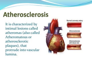 It is characterized by
intimal lesions called
atheromas (also called
Atheromatous or
atherosclerotic
plaques), that
protrude into vascular
lumina.
 