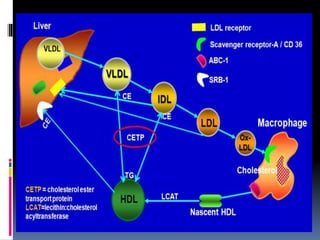 Lipid transport 2020 | PPT