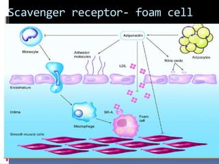 Lipid transport 2020 | PPT