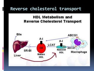 Lipid transport 2020 | PPT