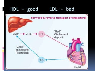 Lipid transport 2020 | PPT
