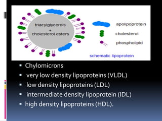 Lipid transport 2020 | PPT