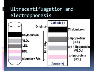 Lipid transport 2020 | PPT