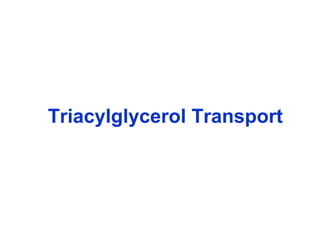 Triacylglycerol Transport 