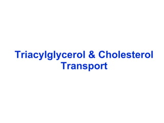 Triacylglycerol & Cholesterol Transport 
