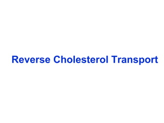 Reverse Cholesterol Transport 