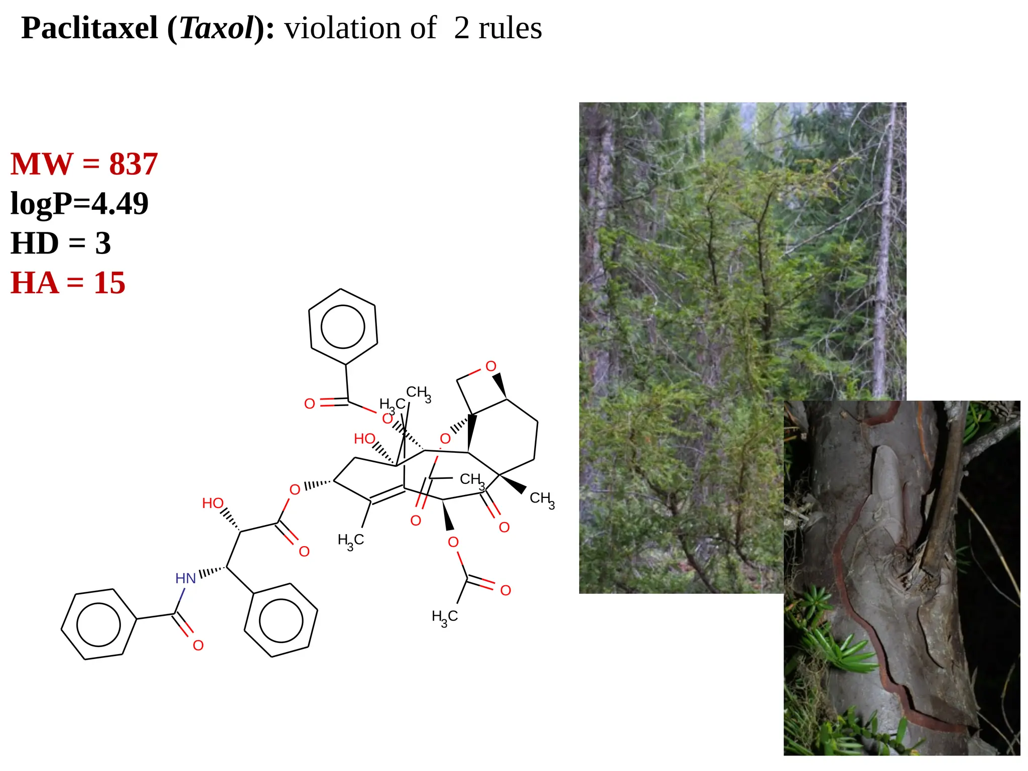 O
O
HO
CH3
O
O
CH3
O
O
O
O
H3
C
H3
C
O
O
HO
HN
O
H3
C
CH3
MW = 837
logP=4.49
HD = 3
HA = 15
Paclitaxel (Taxol): violation of 2 rules
 