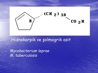 Hidnokarpik ve şolmogrik asit 
Mycobacterium leprae 
M. tuberculosis 
 