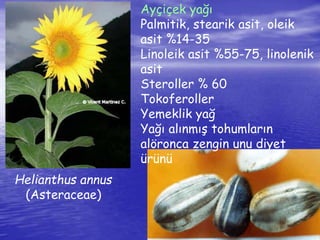 Helianthus annus 
(Asteraceae) 
Ayçiçek yağı 
Palmitik, stearik asit, oleik 
asit %14-35 
Linoleik asit %55-75, linolenik 
asit 
Steroller % 60 
Tokoferoller 
Yemeklik yağ 
Yağı alınmış tohumların 
alöronca zengin unu diyet 
ürünü 
 