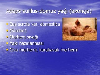 Adeps suillus-domuz yağı (axonge) 
• Sus scrofa var. domestica 
• (Suidae) 
• Merhem sıvağı 
• Yakı hazırlanması 
• Civa merhemi, karakavak merhemi 
 