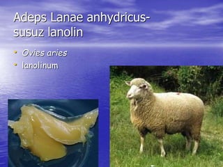 Adeps Lanae anhydricus-susuz 
lanolin 
• Ovies aries 
• lanolinum 
