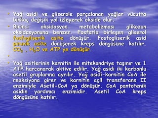 • Yağ asidi ve gliserole parçalanan yağlar vücutta 
birkaç değişik yol izleyerek okside olur. 
• Birinci oksidasyon metabolizması glikozun 
oksidasyonuna benzer. Fosfatla birleşen gliserol 
fosfogliserik asite dönüşür. Fosfogliserik asid 
piruvik asite dönüşerek kreps döngüsüne katılır. 
CO2 , H2O ve ATP ye dönüşür. 
• 
• Yağ asitlerinin karnitin ile mitekondriye taşınır ve 1 
ATP harcanarak aktive edilir. Yağ asidi iki karbonlu 
asetil gruplarına ayrılır. Yağ asidi-karnitin CoA ile 
reaksiyona girer ve karnitin açil transferans II 
enzimiyle Asetil-CoA ya dönüşür. CoA pantotenik 
asidin yardımcı enzimidir. Asetil CoA kreps 
döngüsüne katılır. 
 