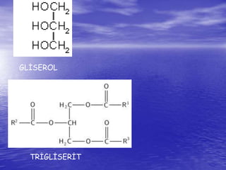 GLİSEROL 
TRİGLİSERİT 
 