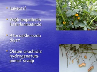 • Laksatif 
• Yağlı ampullerin 
hazırlanmasında 
• Aterosklerozda 
diyet 
• Oleum arachidis 
hydrogenatum-pomat 
sıvağı 
 