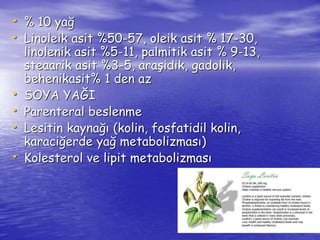 • % 10 yağ 
• Linoleik asit %50-57, oleik asit % 17-30, 
linolenik asit %5-11, palmitik asit % 9-13, 
steaarik asit %3-5, araşidik, gadolik, 
behenikasit% 1 den az 
• SOYA YAĞI 
• Parenteral beslenme 
• Lesitin kaynağı (kolin, fosfatidil kolin, 
karaciğerde yağ metabolizması) 
• Kolesterol ve lipit metabolizması 
 
