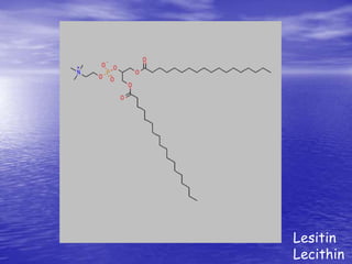 Lesitin 
Lecithin 
 