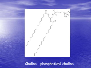 Choline - phosphatidyl choline 
 