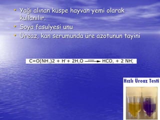 • Yağı alınan küspe hayvan yemi olarak 
kullanılır. 
• Soya fasulyesi unu 
• Üreaz, kan serumunda üre azotunun tayini 
 